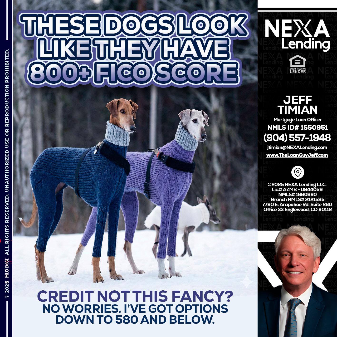 THESE DOGS LOOK - Jeff Timian -Mortgage Loan Officer